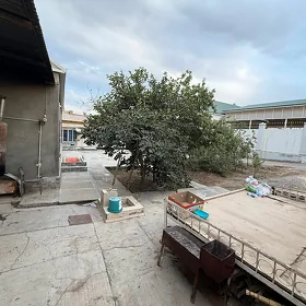Satlyk jaý mes bathyz koçe
