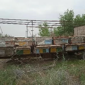 тележка