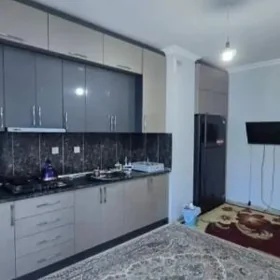 Satlyk panel gyssaglyk