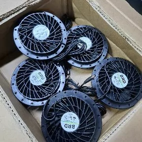 wintelyator