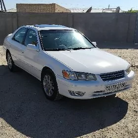 Toyota Camry 1999