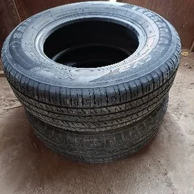 Teker Tigir Tiger pakryşga
