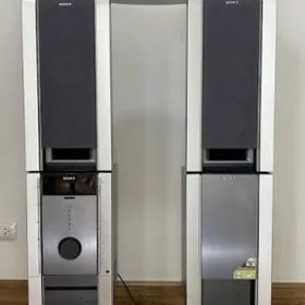 Sony ss-flx9d