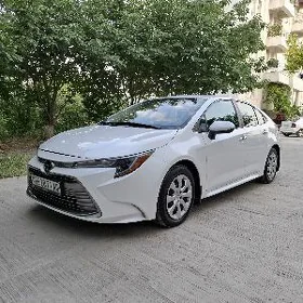 Toyota Corolla 2024