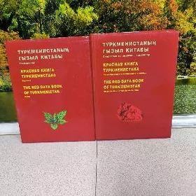 Книга.  Kitap.