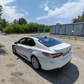 Toyota Camry 2019