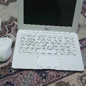 nobok