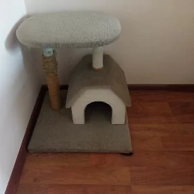 домик для котят