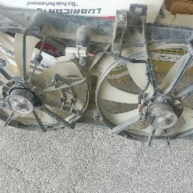Lopus Palta 2.5 Motor Original