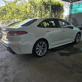 Toyota Corolla 2020