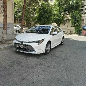 Toyota Corolla 2021