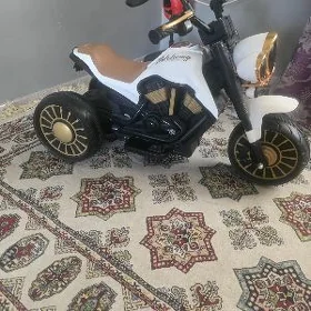 Çaga mator tokly