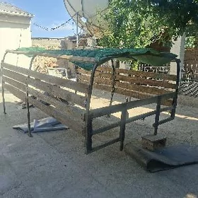 Gazel