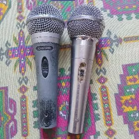 Toy mikrafon