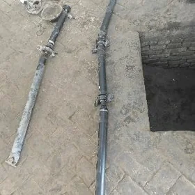 Kardan Padwesga