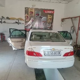 2004 avalon yz çyra stopnik
