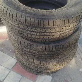 sportrak