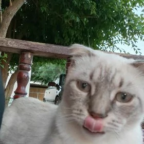 Pisimiz yitirdik