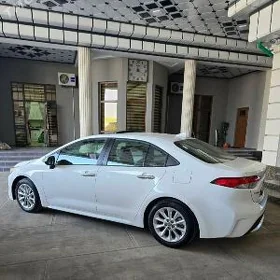 Toyota Corolla 2020