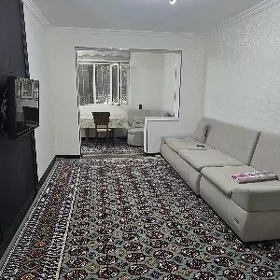 ARENDA JAY 6 mik