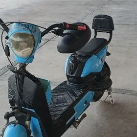 TIGIRLER sukutr