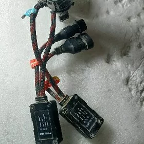 Toby s led