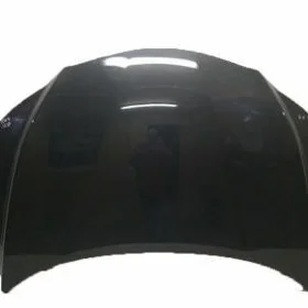 KAПOTЫ Lexus Rx