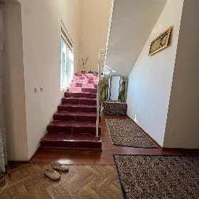 Satlyk ipateka jay