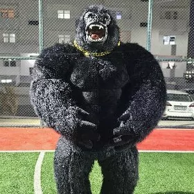 satlyk miska garilla
