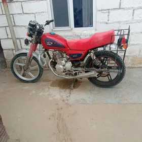 Fekon FK150-8G 2012