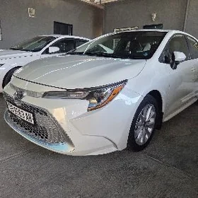 Toyota Corolla 2021