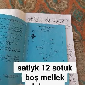satlyk mellek