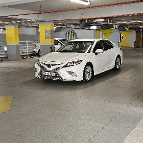 Toyota Camry 2019
