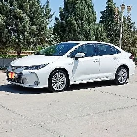 Toyota Corolla 2021