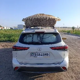 Ak gara òý gamyş Gotaz Tüÿnük