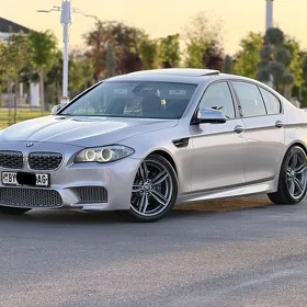 BMW F10 2010