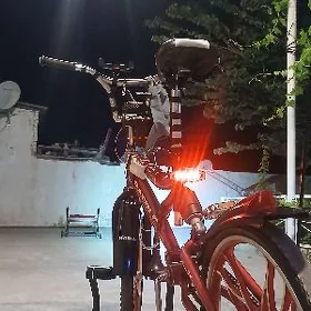 olmpiya tigir