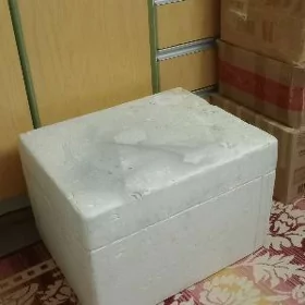 HLODOGEN SOWADYJY