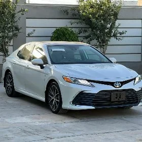 Toyota Camry 2021