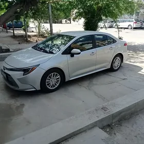 Toyota Corolla 2024