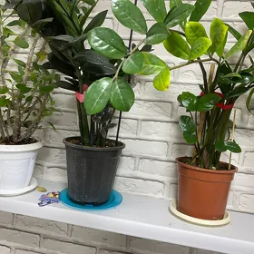 Продам 1 комн квартиру