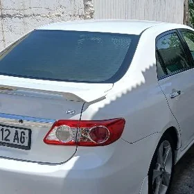 carolla setga