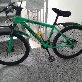 turkmenistan tigir