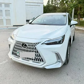 Lexus NX 250 2024