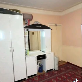 Şfaner amatly