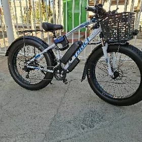 Tokly tigir