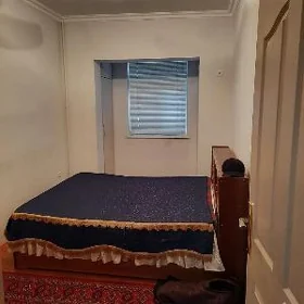 Buzmeyin kruk arenda jay