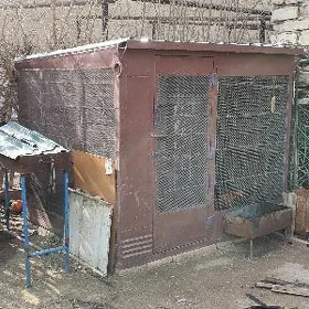 towyk ketek