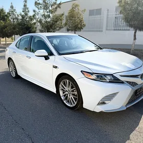 Toyota Camry 2019