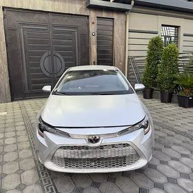 Toyota Corolla 2021